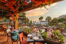COYA Monte-Carlo