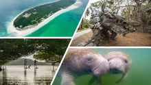 Unberührte Landschaften und seltene Tierarten machen St. Pete-Clearwater an der Westküste Floridas zu einem echten Geheimtipp für Naturfans in Florida