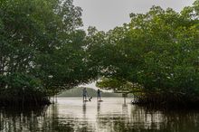 Weedon Island Preserve