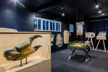 Crab Museum, Margate