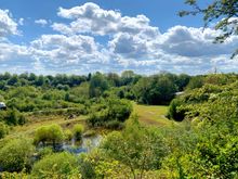 Monkton Nature Reserve