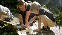Monkton Nature Reserve - Pond Dipping