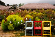 Garden in Hahoe folk village near Andong, South Korea 