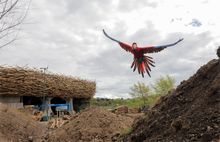 An ambitious environmental programme has been taking shape behind the scenes at Kynren
