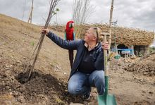 Thousands of Trees Planted as Kynren Creates 150 Acres of New Wildlife Habitat