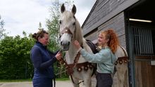 Specialist costumes are being created for the equine stars of Kynren - The Storied Lands