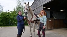 Ufano, a 17-year old Andalusian is dressed for Kynren - The Storied Lands