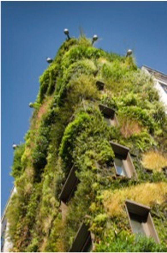 Athenaeum's Living Wall  Inspiring guests during Chelsea Fringe Fest