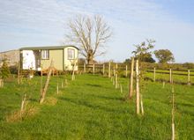 Plenty of space at the Hideaway Hut