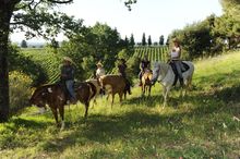 Riders enjoying the beautiful landscape at In The Saddle's Castellare di Tonda in Italy