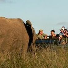 Game rangers on game drive
