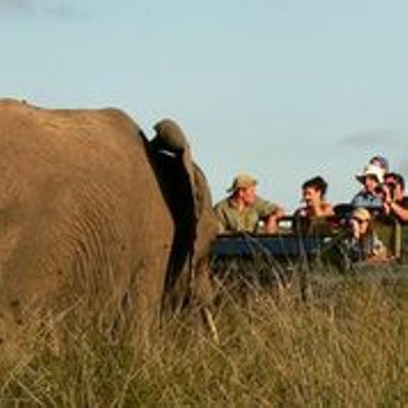 Game rangers on game drive
