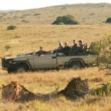 Guests and game rangers on a game drive