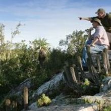 Game rangers on game drive