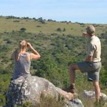 Guests and game rangers on a game drive