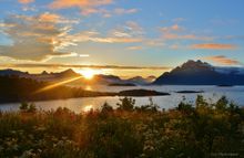 Lofoten Islands _summer