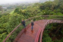 View from the Boomslang