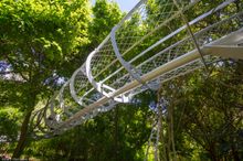 View from the Boomslang