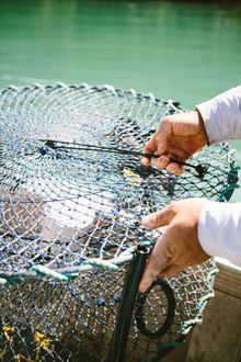qualia - Weekends of Wonderment - crabbing experience 