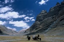 Tibetan nomads travelling in Western Tibet