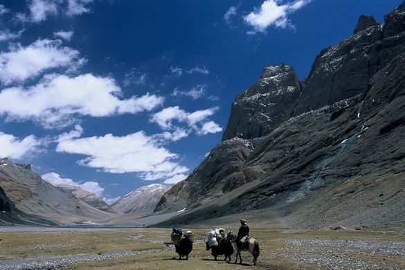 Tibetan nomads travelling in Western Tibet