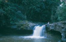 Waterfall in Lamington National Park