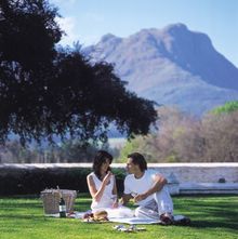 Blaauwklippen picnic