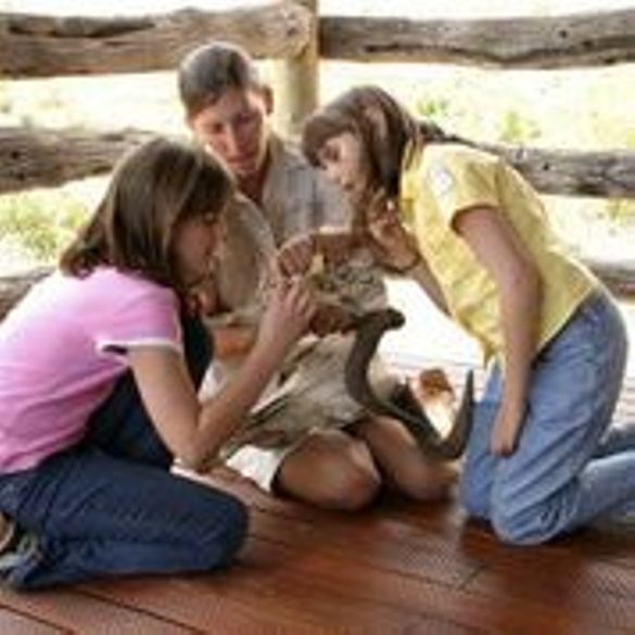 Kids on safari