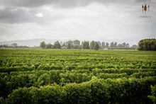 Maui Motorhomes Wine Havens