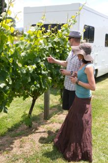 Maui Motorhomes Wine Havens