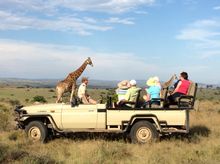 On safari