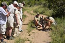 Tracking animal prints with game ranger