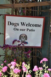 Dori's Tea Cottage Pet-Friendly  Patio