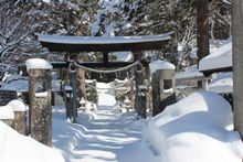 Dnow Goddess Retreats - Japanese Gate