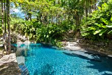 Fustic House pool