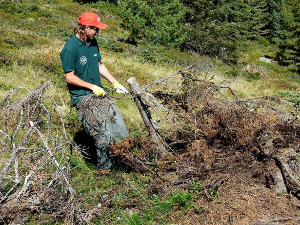 Volunteering in Grinzling Zillertal 