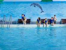 Pool in Family Fun Zone