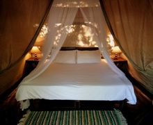 Inside luxury tent