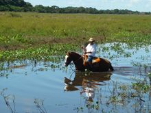 In The Saddle's Pantanal Experience