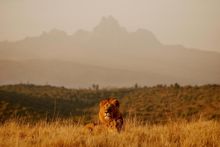 Borana Conservancy, Laikipia, Kenya