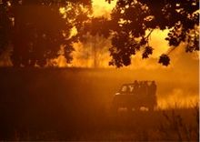 Driving through Kanha National Park