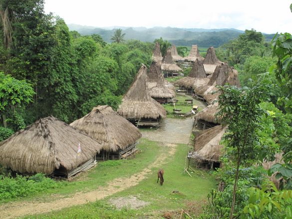 Tribal village, Sumba, Indonesia