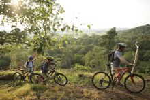 Cycling in The New Forest