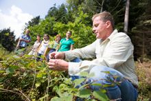 On the wild plants discovery trail guides will demonstrate how even parts of trees are edible.