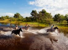 Horseback safaris in Botswana