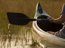 Canoeing the Selinda Spillway