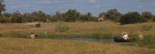 The Selinda Spillway