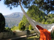 Enjoy The Peace And Quiet Of This Natural Environment