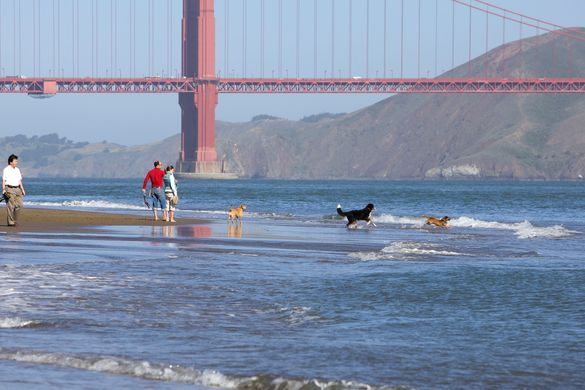 Crissy Field