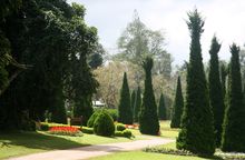 Botanical Gardens, Pyin Oo Lwin, Myanmar